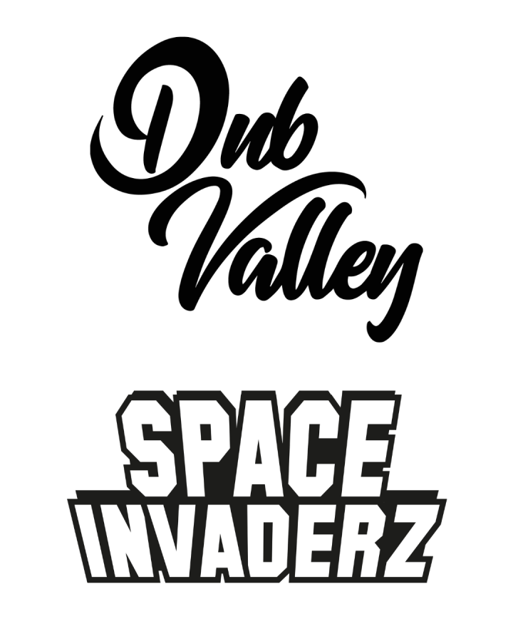 Space Invaderz x Dub valley